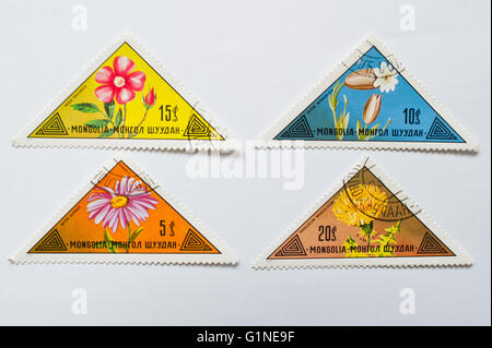 UZHGOROD, UKRAINE - circa 2016 MAI : Collection de timbres triangulaires imprimé en Mongolie, montre la série de fleurs différentes, Banque D'Images