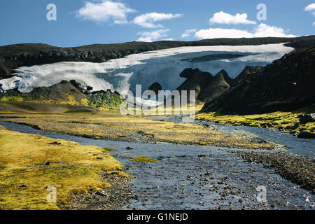 Paysage avec mousse et neige en Islande. Le tourisme de montagne Banque D'Images