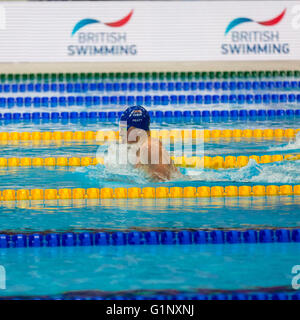 Londres, Royaume-Uni. 17 mai, 2016. Centre aquatique, London, UK, 17 mai 2016. La nageuse britannique et Champion du Monde Kazan Adam tourbé dans le 100m brasse finale. Adam tourbé remporte l'or en 58.36s, avec le deuxième nageur britannique Ross Murdoch en tenant l'argent (59.73s) et lituanien Giedrius Titenis remportant le bronze. Credit : Imageplotter News et Sports/Alamy Live News Banque D'Images