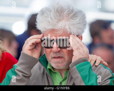 Cannes, France. 17 mai, 2016. Pedro Almodovar Directeur Julieta, Photocall. 69 ème Festival du Film de Cannes Cannes, France 17 mai 2016 Diw89955 Allstar Crédit : photo library/Alamy Live News Banque D'Images