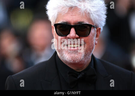 Cannes, France. 17 mai, 2016. Le réalisateur Pedro Almodovar pose sur le tapis rouge, comme il arrive pour la projection du film "Julieta" en compétition au 69e Festival du Film de Cannes, France, le 17 mai 2016. © Jin Yu/Xinhua/Alamy Live News Banque D'Images