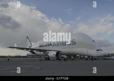 Bucarest, Roumanie. 18 mai, 2016. L'Airbus A300-600ST (Super transporteurs), le béluga, est accueilli pour le premier atterrissage sur l'Aéroport International Henri Coanda de Bucarest. Crédit : Gabriel Petrescu/Alamy Live News Banque D'Images