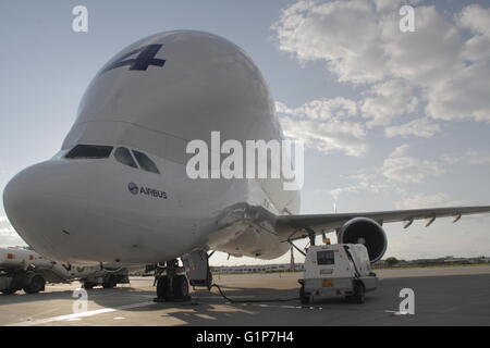 Bucarest, Roumanie. 18 mai, 2016. L'Airbus A300-600ST (Super transporteurs), le béluga, est accueilli pour le premier atterrissage sur l'Aéroport International Henri Coanda de Bucarest. Crédit : Gabriel Petrescu/Alamy Live News Banque D'Images