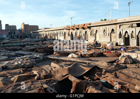 Tanneries de cuir traditionnel à Marrakech, Maroc Banque D'Images