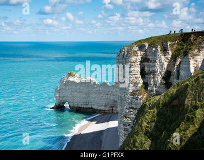 Falaise d'Amont falaise à Etretat, Côte d'Albâtre, Normandie Banque D'Images