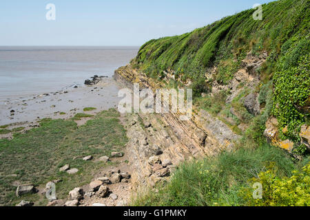 Angleterre Somerset Portishead les falaises sous le point de batterie Banque D'Images