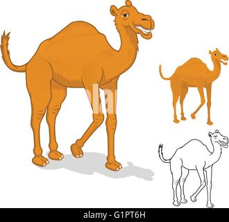 Camel haute qualité Personnage Vector Illustration Illustration de Vecteur