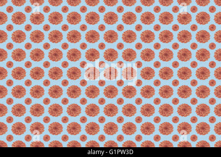 Résumé motif transparente de fleurs rose en pintes et sérénité bleu couleurs Banque D'Images