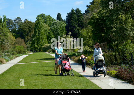 Deux mères et d'enfants marchant le long chemin dans sir Harold hillier gardens à romsey england uk Banque D'Images