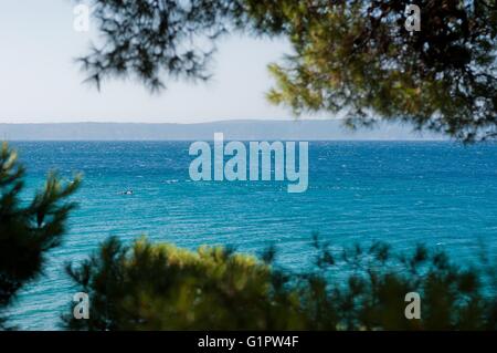 Mer Adriatique encadrée par arbre près de Podgora en Croatie. Natural Background Banque D'Images