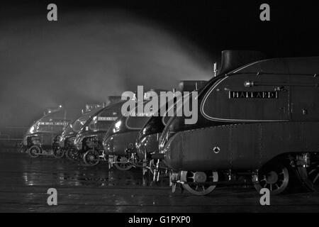 Le Grand Rassemblement à Shildon Locomotion Février 2014 en noir et blanc Banque D'Images