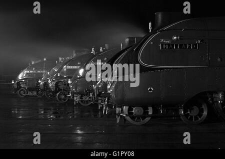 Le Grand Rassemblement à Shildon Locomotion Février 2014 en noir et blanc Banque D'Images