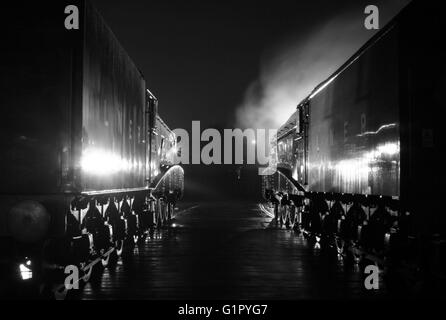 Le Canard colvert et le Petit Blongios se tiennent côte à côte au Grand Rassemblement à Shildon Locomotion Février 2014 en noir et blanc Banque D'Images