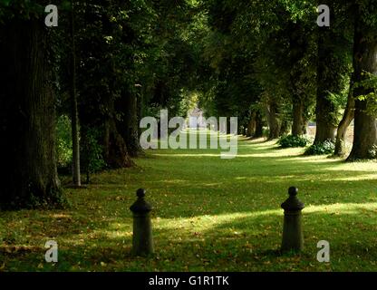 AJAXNETPHOTO. Septembre 23, 2013. MAILLY MAILLET, FRANCE. - 18ème siècle CHAPELLE - chemin entre l'AVENUE D'ARBRES MENANT À CHAPELLE SÉPULCRALE DES SEIGNEURS DE MAILLY SUR LES PIERRES DE CE QUI PEUT ÊTRE TROUVÉ WW1 Graffiti. Derrière les lignes britanniques DANS LA BATAILLE DE 1916 L'OFFENSIVE DE LA SOMME. PHOTO:JONATHAN EASTLAND/AJAX REF:D132309 3516 Banque D'Images