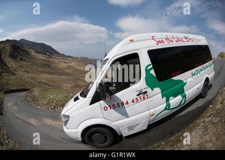 La Chèvre de montagne guidées sur Hardknott Pass, Cumbria, Royaume-Uni. Banque D'Images