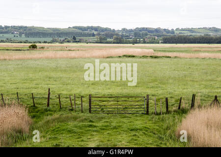 Vue d'ensemble des terres agricoles vers le nord du Kent Downs, clôture en premier plan Banque D'Images