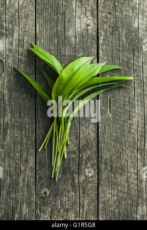 Ramsons frais feuilles. L'ail des feuilles. Des légumes sains. Banque D'Images