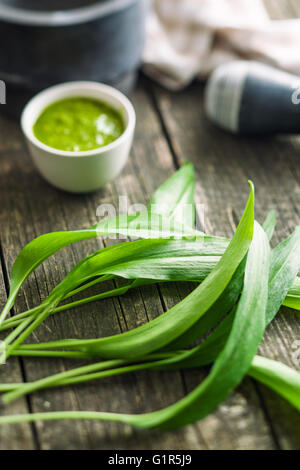 Ramsons frais feuilles. L'ail des feuilles. Des légumes sains. Banque D'Images