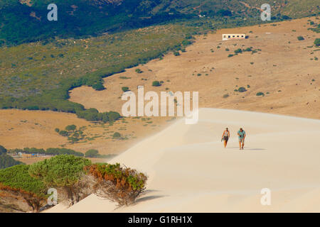 Dunes de Punta Paloma, Tarifa, la plage de Punta Paloma, Province de Cadiz, Costa de la Luz, Andalousie, Espagne Banque D'Images