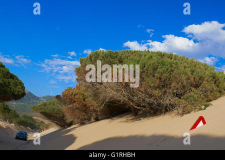 Dunes de Punta Paloma, Tarifa, la plage de Punta Paloma, Province de Cadiz, Costa de la Luz, Andalousie, Espagne Banque D'Images