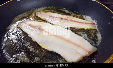 Zander de friture ou aux filets, sur une poêle Banque D'Images