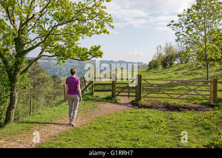 Marche sur Uley fortin enterrer près de Dursley, Gloucestershire, Angleterre, Royaume-Uni Banque D'Images