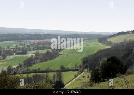 Avis de la direction, Champ de Ranmore Common, Dorking, Surrey, UK. Banque D'Images