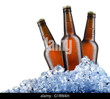 Bouteilles de bière brune dans des cubes de glace isolated on white Banque D'Images