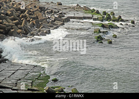 Les vagues frappant sur mur de béton et de blocs énormes tétrapodes, la protection des terres de l'érosion de la mer à Goa, Inde Banque D'Images