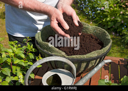 Gros plan de l'homme jardinier qui remplit le panier suspendu avec Terreau compost Angleterre Royaume-Uni Royaume-Uni Grande-Bretagne Banque D'Images