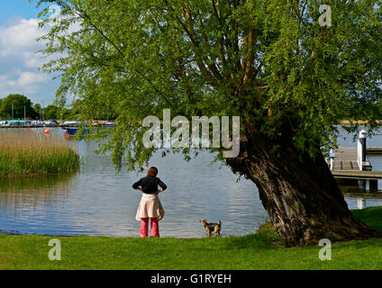 Jeune femme avec chien terrier à Oulton Broad, Norfolk Broads National Park, Norfolk, Angleterre, Royaume-Uni Banque D'Images