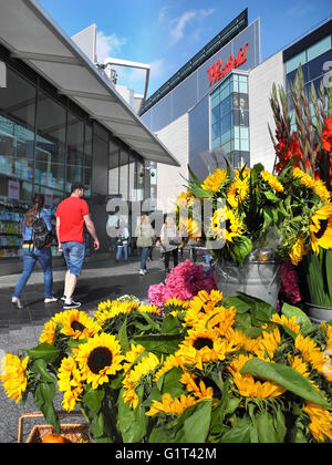 Westfield London est un centre commercial de White City, Londres, Royaume-Uni Banque D'Images