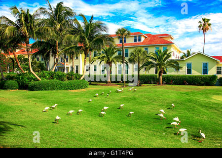 Donnant sur le parcours de golf de l'Gasparilla Inn & Club, Boca Grande, sur Gasparilla Island, Floride Banque D'Images