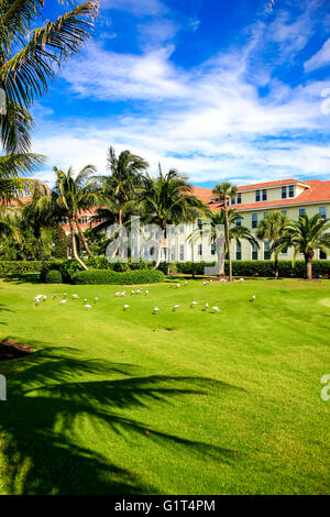 Donnant sur le parcours de golf de l'Gasparilla Inn & Club, Boca Grande, sur Gasparilla Island, Floride Banque D'Images