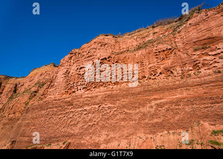 Red Cliff, Budleigh Salterton, l'est du Devon, Angleterre, Royaume-Uni Banque D'Images