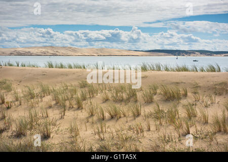 Vue sur le bassin d'Arcachon et de la Duna de Pyla, Aquitaine, France Banque D'Images