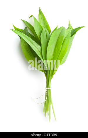 Ramsons frais feuilles. L'ail des feuilles. Des légumes sains. Banque D'Images