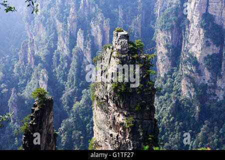 Parc forestier national de Zhangjiajie du Hunan en Chine. Banque D'Images