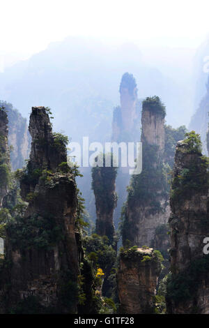 Parc forestier national de Zhangjiajie du Hunan en Chine. Banque D'Images