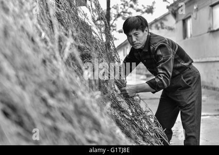 Jiaozhou, Jiaozhou, CHN. 18 mai, 2016. Qingdao, Chine - 18 mai 2016 : (usage éditorial uniquement. Chine OUT) manches sont remplacés par des aspirateurs. graduately Il y a 10 ans, des centaines de villageois fait Xidatun genêts en Village. Mais maintenant, seuls quelques-uns sont encore le faire. Même si c'est très facile à apprendre, mais la qualité finale peut être différent. Master Yan et sa femme ne peut que faire 20 manches pour une journée, et peut gagner 10000 yuan pour un an. 10 procédures sont nécessaires comme découpe, hachage, tissage, superposition, tyingÂ © SIPA Asie/ZUMA/Alamy Fil Live News Banque D'Images