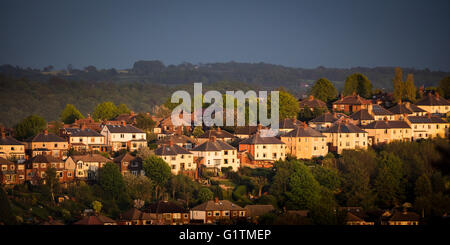 Sheffield, Royaume-Uni. 18 mai, 2016. Entre les averses de pluie, dernière lumière du jour illumine rangées de maisons dans la région de Sheffield Greystones, surrrounded printemps vert fraîchement par les arbres.  !8 mai 2016, Sheffield, South Yorkshire, Angleterre, Royaume-Uni. Credit : Graham Dunn/Alamy Live News Banque D'Images