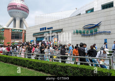 Shanghai, Shanghai, CHN. 19 mai, 2016. Shanghai, Chine - le 19 mai 2016 : (usage éditorial uniquement. Les touristes de la Chine) se tenir dans une longue ligne de l'Oriental Pearl et de l'aquarium marin. Le 19 mai est la 6e journée du tourisme en Chine, et 58 sites touristiques sont à 50 % de réduction. © SIPA Asie/ZUMA/Alamy Fil Live News Banque D'Images