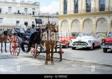 La calèche avec taxi voitures classiques dans le Parque Central, La Vieille Havane, Cuba Banque D'Images