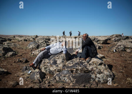 Les réfugiés kurdes regarder les raids aériens alliés à la ville syrienne de Kobani, à partir d'une colline qui surplombe la ville, près de la ville turque de Suruc, à la frontière turco-syrienne. Des milliers de Kurdes ont été forcés d'abandonner la ville syrienne de Kobani, qui est assiégée par les forces de l'État islamique. La plupart d'entre eux vivent dans des camps de réfugiés dans la ville turque de Suruc. Banque D'Images