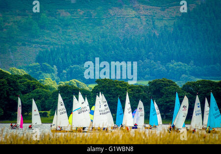 Les courses de bateaux à voile à Bassenthwaite Lake, Cumbria, Royaume-Uni. Banque D'Images