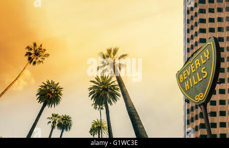 Los Angeles, Beverly Hill, West Coast Palm Tree Sunshine Banque D'Images