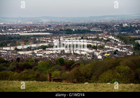 Vue sur la ville de Brighton depuis les allotissements de Tenantry sur une colline avec pâturage de moutons , Angleterre Royaume-Uni Banque D'Images