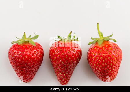 Fraises fraîches et naturelles rouge sur un fond blanc. Banque D'Images