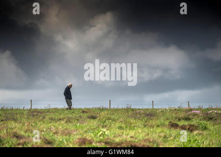 Un homme âgé promenades à travers champs en Carnewas au Bedruthan à Cornwall. Banque D'Images