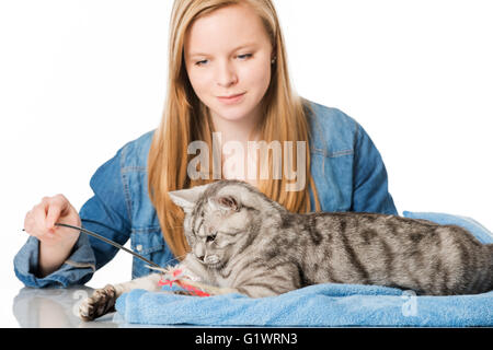 Fille jouant avec cat isolated on white Banque D'Images